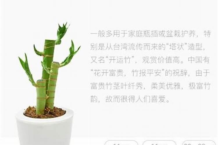 转运窍门
