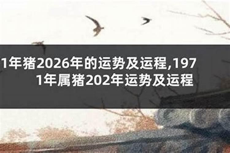 1992年生人2026年运程