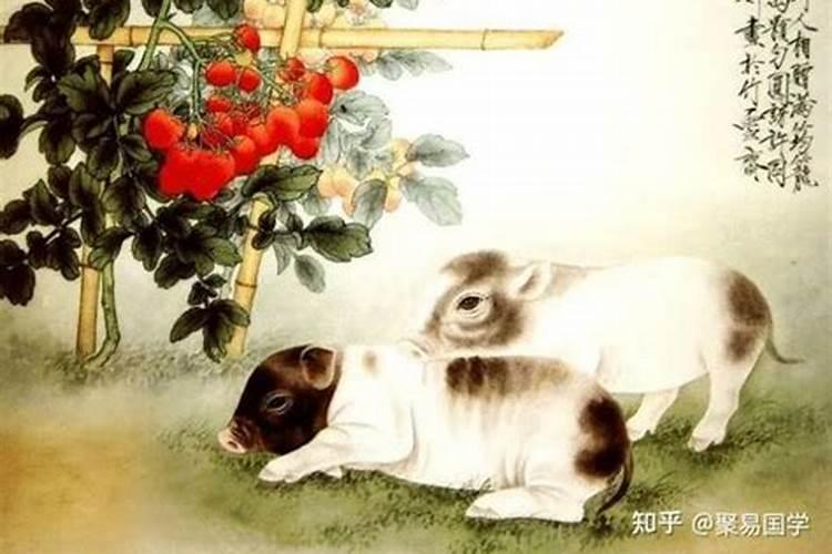 一九七一年属猪六月生一生运程