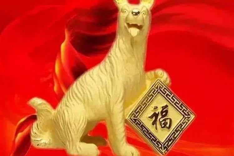 属狗之人在猪年的运势如何？