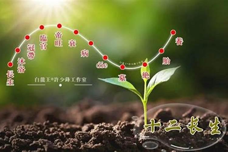 运势起伏是什么意思？