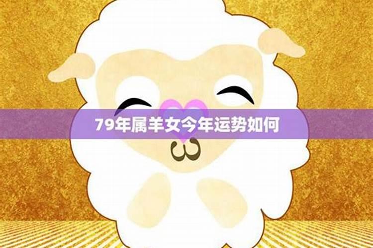 男属羊女猪今年运势如何？