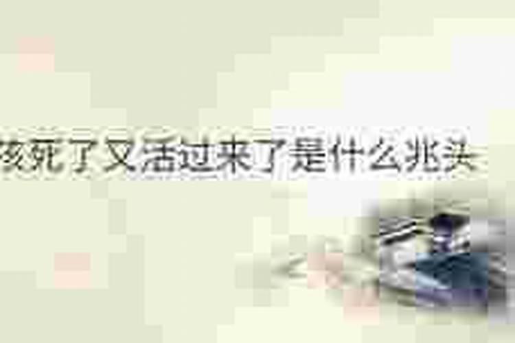 梦见表哥死了又活过来了