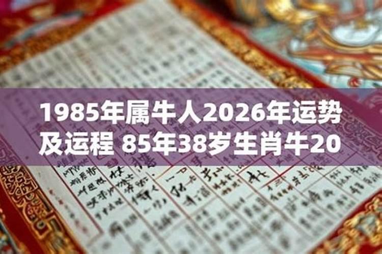 85年属牛人2026年运势及运程