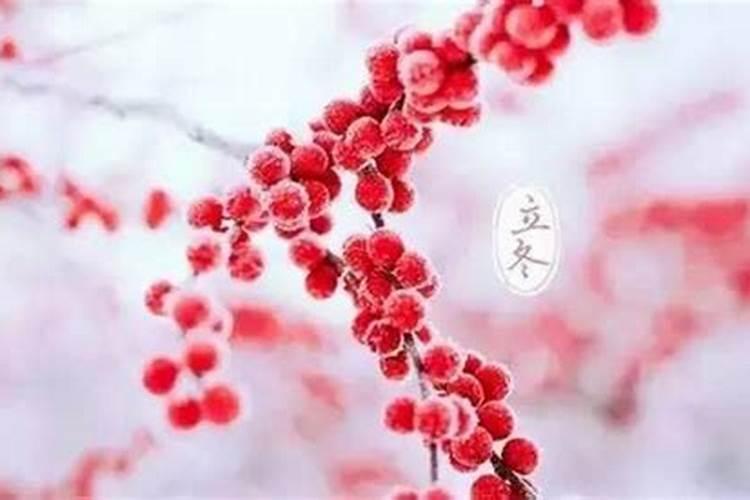立冬到冬至还有几个节气？