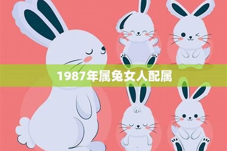 1987年兔子2026年运势