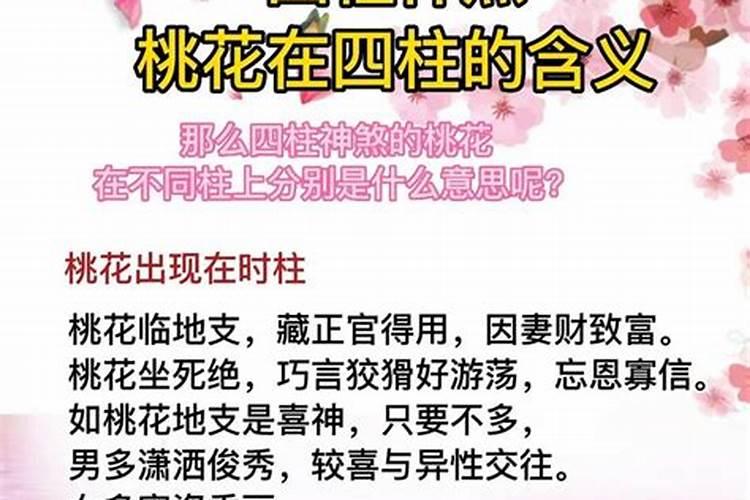 本命年为什么会桃花运好？