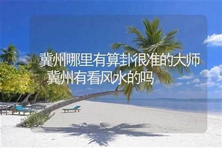 冀州哪里有算命的高人？