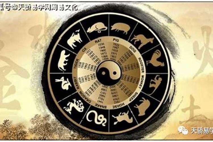 八字测算自己适合养什么狗？
