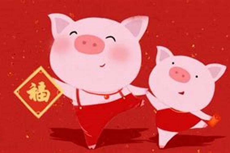 属猪的今年多大虚岁？