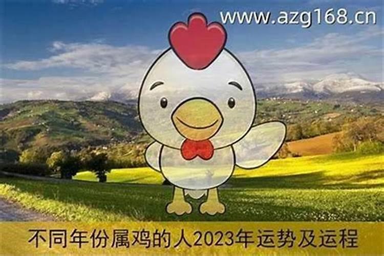 1981属鸡的人2026年运程