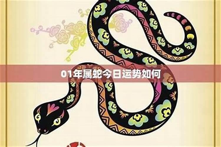 属蛇今年的运势破解