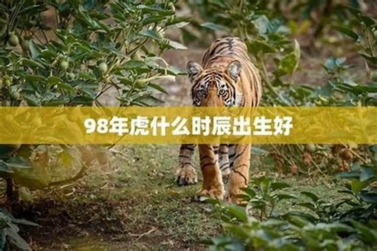 十月初一申时出生的男虎