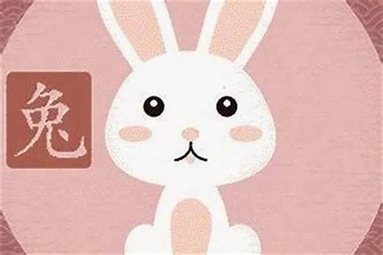 属狗和属兔的人合婚吗？