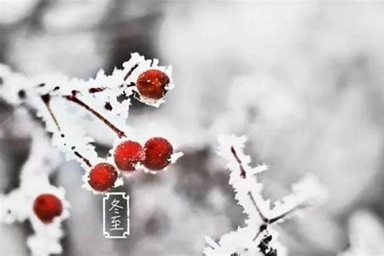 节气冬至应该注意什么？