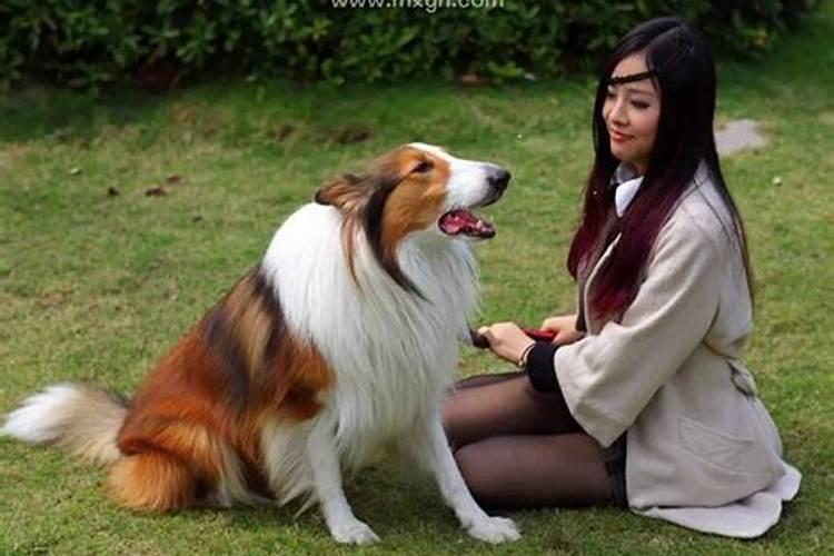 梦见狗缠着自己甩不掉是什么意思？