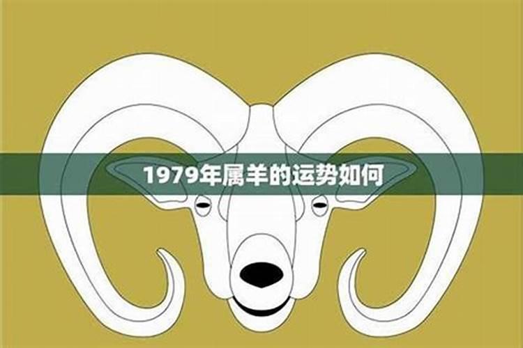 1979年属羊的人一生运程