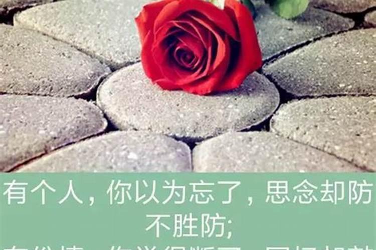 梦到一个人是不是说明他在忘记你？