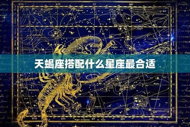 天蝎女和什么座最配？