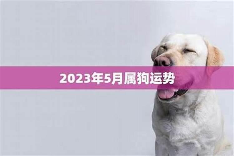 属狗农历5月运势如何？