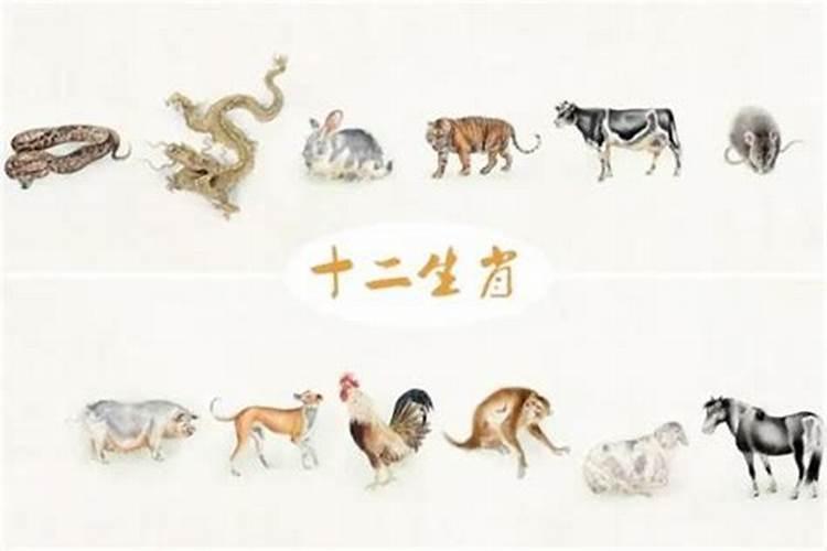 立春以后出生算哪个生肖？