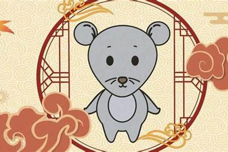 属鼠女和什么属相合婚？
