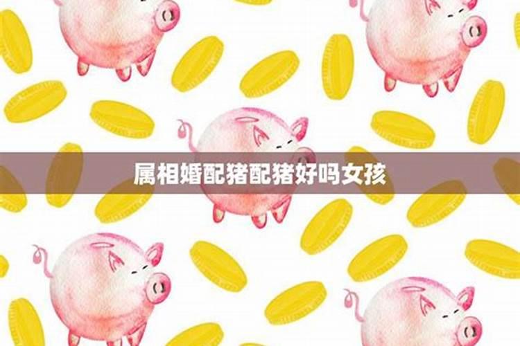 属相婚配猪配猪好吗？