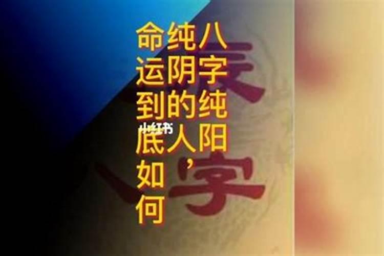 为什么纯阴之女不算命？