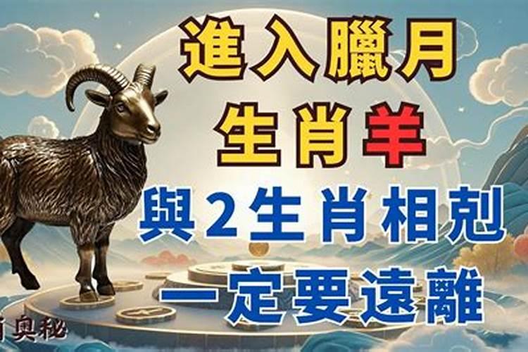 腊月羊财运差