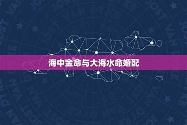 金箔金和海中金合婚吗？