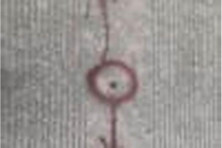 八字以年为准还是以日为准？