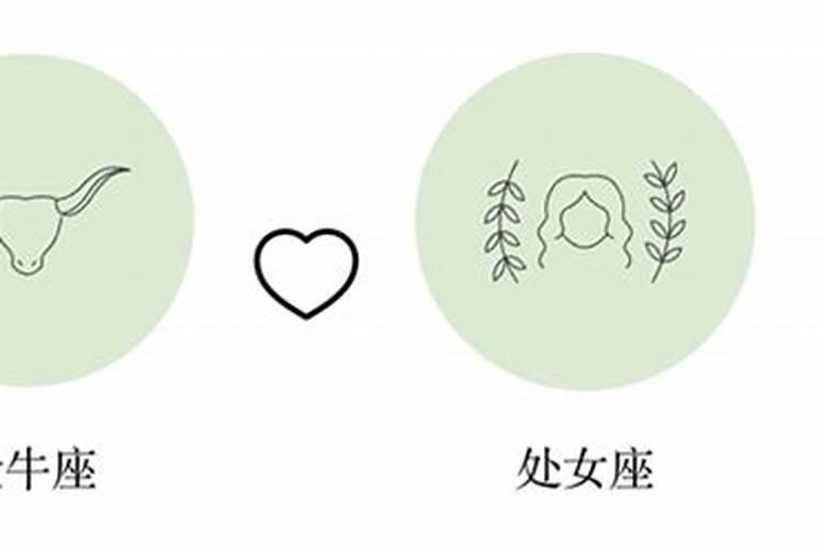 金牛座和处女座合婚吗？