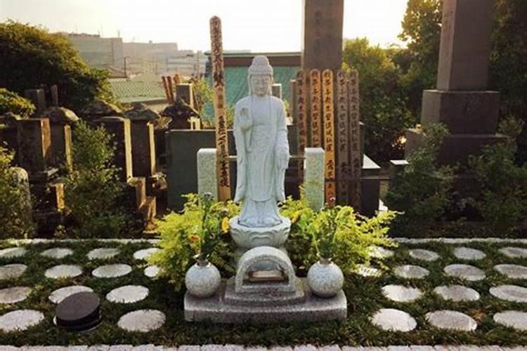 梦见墓地