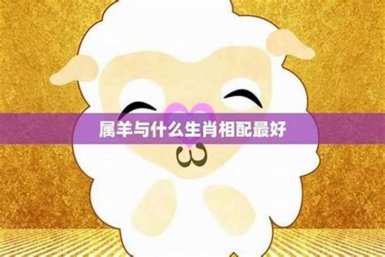 羊与什么属相婚配好？