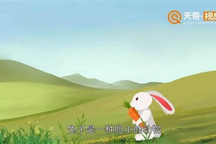 做梦梦见兔子是什么意思？