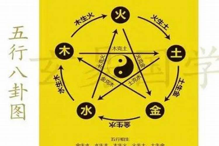 合八字中蛇和鼠合吗？