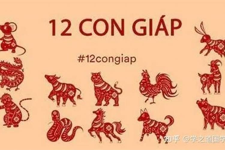 国外合婚看生肖吗？