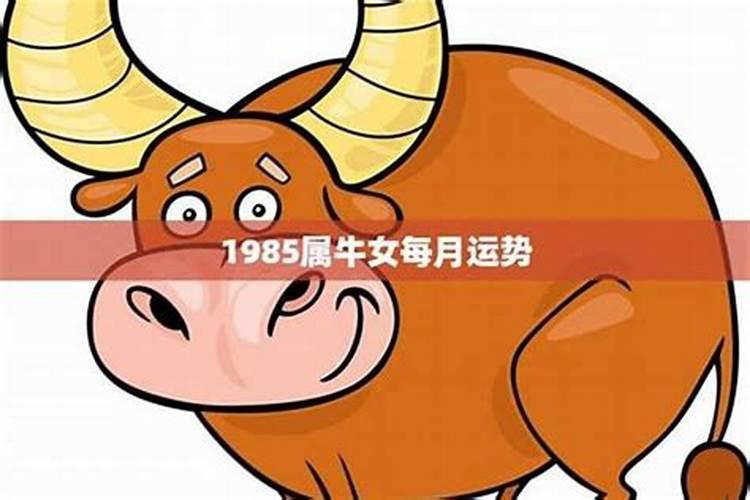 85牛女2026感情运势如何？