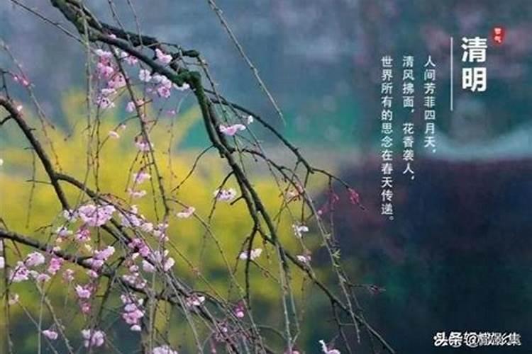 清明节大概始于哪个朝代？