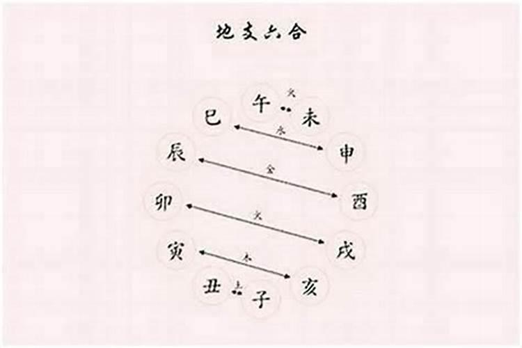 怎么判断八字地支合化？