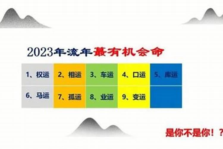 桑松木命2026年的运程
