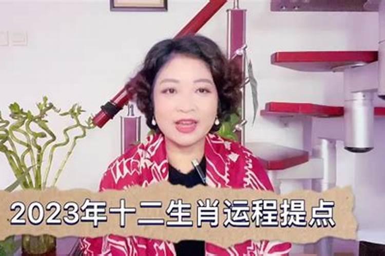 葵卯人今年的运势如何？
