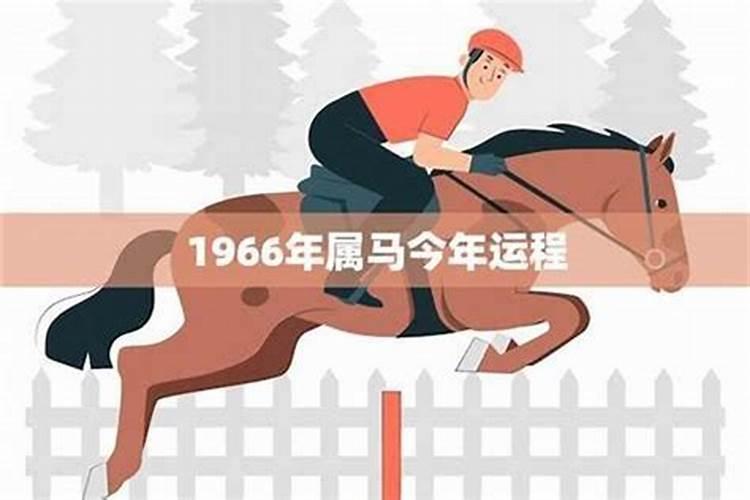 1966年属马运程今年月份运程