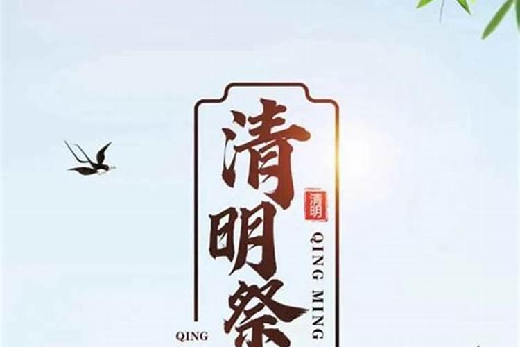 清明节网上祭奠活动情况报告