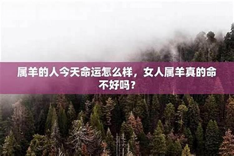 女人为什么排老三命都不好？