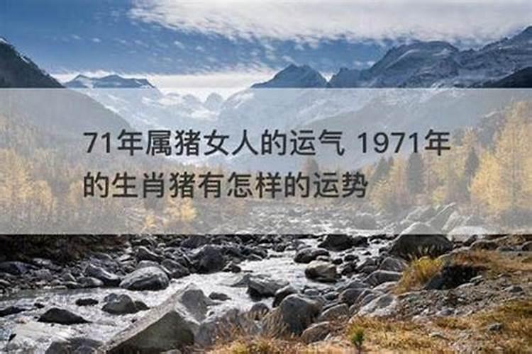 71猪年生的女人今年运势
