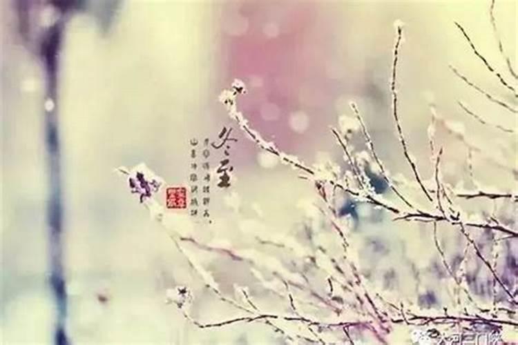 冬至后运势最好的星座