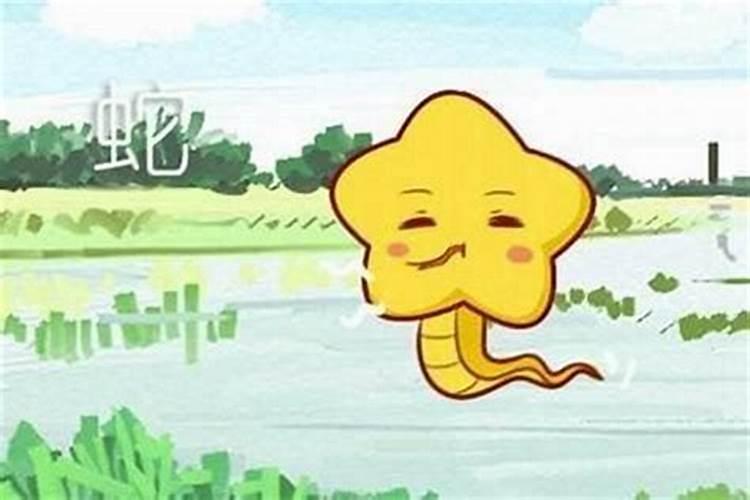 男猪女蛇合婚吗？