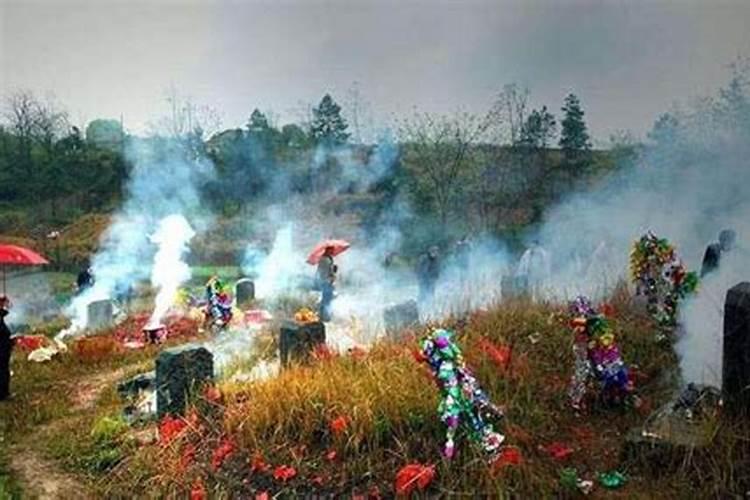 建议取消清明节烧纸