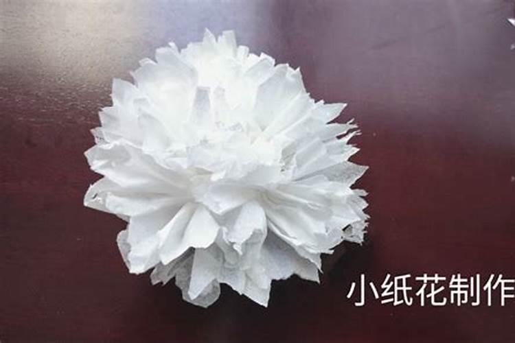 清明节纸花哪里有卖的？